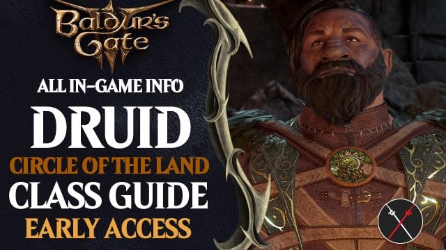 Baldur’s Gate 3 Circle of the Land Druid Build Guide